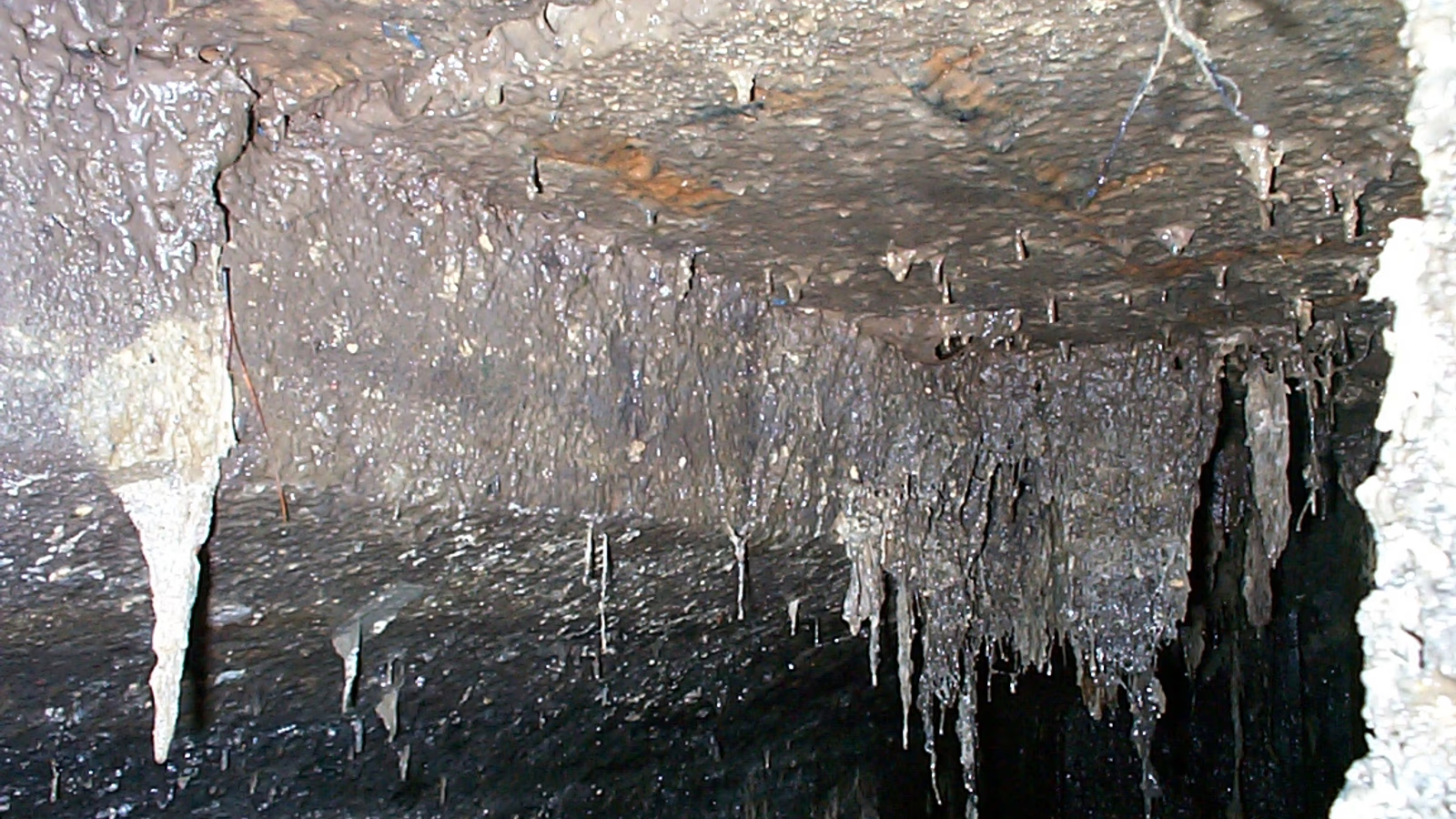 Technician performing a camera inspection of a septic system in Miami-Dade County